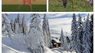 Sf. Mucenic Dimitrie, Izvor&acirc;torul de Mir: Tot ce trebuie să știi despre această sărbătoare