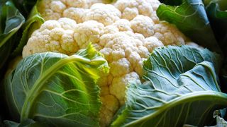 Rețetă de conopidă la oțet