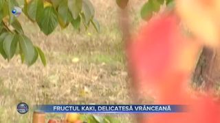 Fructul kaki, delicatesă vrânceană