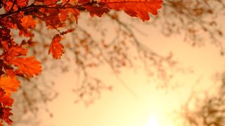 Prognoza meteo &icirc;n weekendul 29-30 octombrie 2022: Cum va fi vremea &icirc;n Rom&acirc;nia?