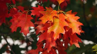 Prognoza meteo &icirc;n weekendul 29-30 octombrie 2022