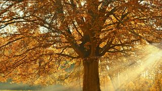 Prognoza meteo pentru luna noiembrie 2022: Precizări importante de la meteorologi