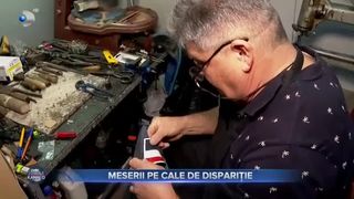 Meserii pe cale de dispariție