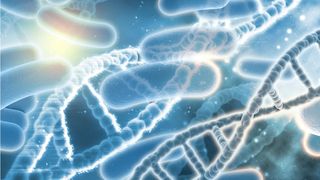 O nouă bacterie se află printre noi! Anunțul înfiorător al unui medic: „Dacă nu facem ceva, nu va mai fi nevoie de încă un război mondial”