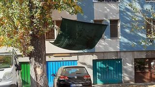 Metoda inedită a unui șofer pentru a-și feri mașina de frunzele toamnei