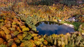 VIDEO - Cum va fi vremea &icirc;n luna noiembrie. Prognoza meteo de la ANM
