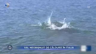 Sibiul a &icirc;mpodobit bradul la 25 grade