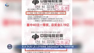 S-a dus la loterie deghizat în Tweetie