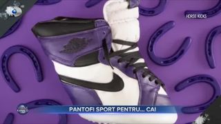 Pantofi sport pentru...cai