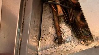 Incredibil ce au descoperit inspectorii ANPC într-un magazin din Constanța! A fost închis imediat