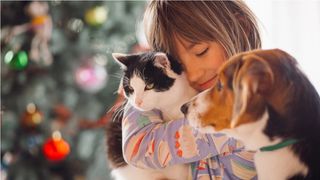 Animalele de companie ar putea avea acces în instituțiile publice și în mijloacele de transport în comun din România