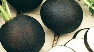 Ridichile negre. Trei feluri &icirc;n care pot fi consumate