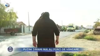 Puțini țărani mai au porci de v&acirc;nzare