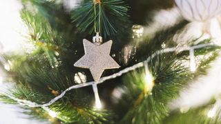 Pregătiri pentru sărbătorile de Crăciun: C&acirc;t va costa un brad artificial, &icirc;n comparație cu unul natural?