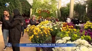 Expoziția florilor de toamnă