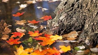 Cum va fi vremea în weekend? Meteorologii au făcut un anunț foarte important