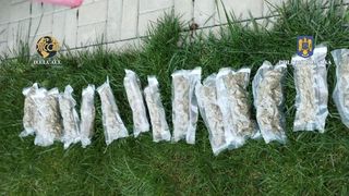 Un tânăr din Ilfov este cercetat sub acuzaţia de trafic de droguri