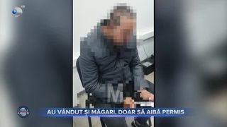 Au v&acirc;ndut și măgari, doar să aibă permis