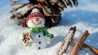 Cum va fi vremea de Crăciun în 2022? Vom avea sau nu zăpădă?