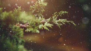 Vremea în minivacanța de Sf. Andrei - 1 Decembrie 2022