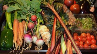 Criza alimentară lovește Rom&acirc;nia. Țara ar putea răm&acirc;ne fără stocuri suficiente de alimente