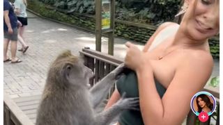 Fosta miss Peru, Paula Manzanal, dezbrăcată de o maimuță, la un templu din Bali. VIDEO viral