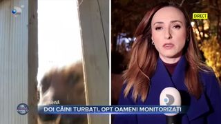 Doi câini turbați, opt oameni monitorizați
