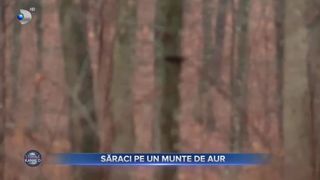 Săraci pe un munte de aur