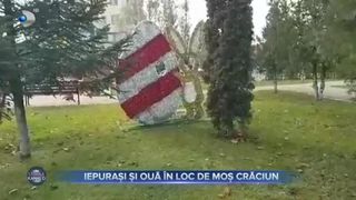 Iepurași și ouă &icirc;n loc de Moș Crăciun
