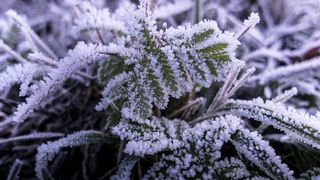 Cum va fi vremea &icirc;n următoarea perioadă?