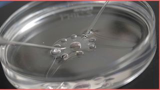 Guvernul acordă c&acirc;te 15.000 de lei celor care au nevoie de fetilizare vitro