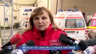 Mutilat de câini pe o stradă din oraș