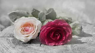 Servicii funerare de calitate care să onoreze memoria unei persoane decedate