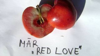 Acesta este mărul care are cele mai multe beneficii pentru sistemul imunitar. El este cultivat într-un singur loc din România