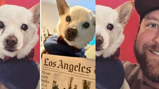 Gino, cel mai bătrân câine american. Are peste 22 de ani