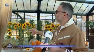 Sfaturi pentru o petrecere rom&acirc;nească