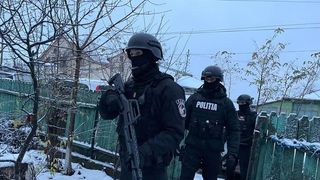 Percheziții &icirc;n Botoșani: peste 60 de c&acirc;ini au fost supuși la rele tratamente și ținuți &icirc;n condiţii improprii