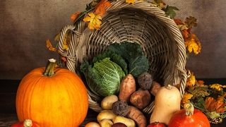 Thanksgiving 2022 sau Ziua Recunoștinței 2022: Ce semnificație are această zi pentru americani?