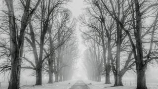 Alertă ANM: un nou val de aer polar. Zăpada depășește 15 centimetri