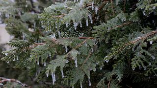 VIDEO - Cum va fi vremea de 1 decembrie 2022. Temperaturile vor marca o scădere la nivelul întregii țări