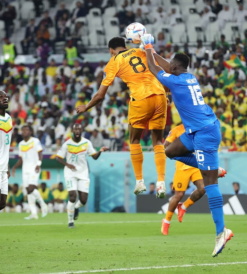 cupa mondiala qatar 2022