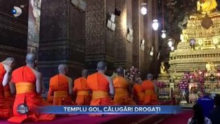 Templu gol, calugari drogati