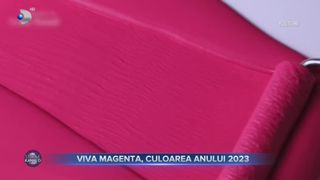 Viva Magenta, culoarea anului 2023