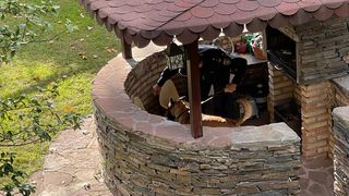 Pachete suspecte primite de mai multe ambasade ale Ucrainei în străinătate. Au fost găsiți ochi de animale și sânge