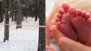 Descoperire macabră într-o stațiune de schi din Germania! Un copil născut de câteva ore a fost găsit fără viață într-o pădure