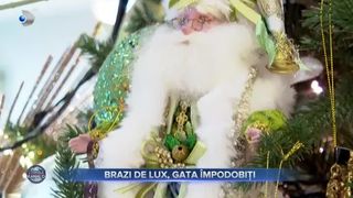Brazi de lux, gata &icirc;mpodobiți