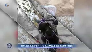 Tricotaje pentru animale de companie