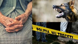 O femeie din Iaşi a fost găsită fără suflare într-o podgorie. Era dispărută de două zile