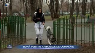 Bonă pentru animalele de companie