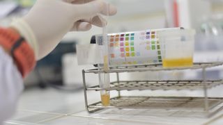  Un tânăr a fost reținut pentru dare de mită, după ce a fost prins drogat la volan